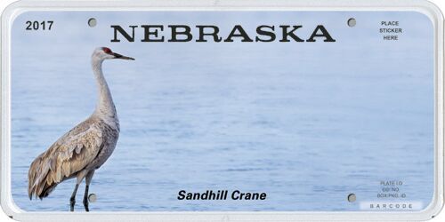 License Plates